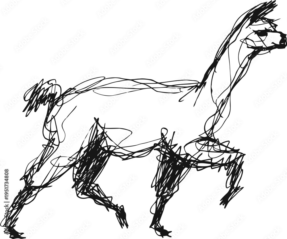 Fototapeta premium Sketch of a llama in motion with loose, expressive black ink lines