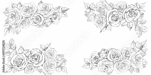 Sketch of roses forming a floral frame on a white background