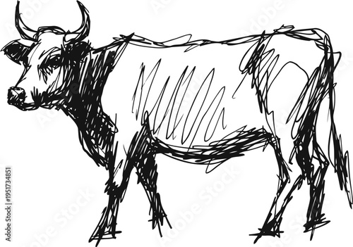 hand drawn sketch of a standing cow with horns and detailed shading