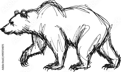hand drawn bear sketch in black ink wild animal outline, nature wildlife illustration, walking bear profile