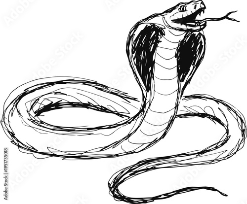 black and white sketch of a coiled cobra snake with hood spread and tongue out