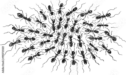 Colony of black ants crawling closely together on white background, insect teamwork and community concept