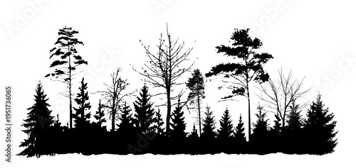 Forest silhouette. Minimalist pine trees silhouette. Hand drawn. Not AI, vector illustration.