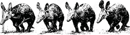 four black and white tapirs walking in a line with detailed texture and shading