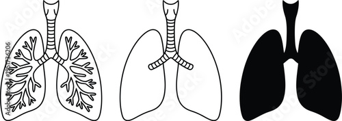 Lungs Vector Set, human respiratory organs in line art and silhouette, solid and outline styles, medical and health education illustration