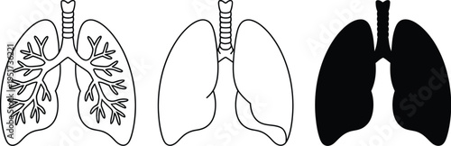 Lungs Vector Set, outline and solid silhouettes, human lungs, respiratory system icons, medical education, health vector illustration, clean design