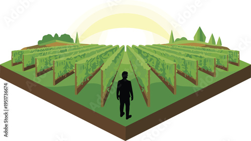 Isometric vineyard landscape with farmer silhouette, agricultural field rows, grape cultivation, rural farming scenery, sustainable agriculture concept illustration