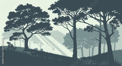 Serene Silhouette of Evergreen Trees in a Misty Forest Landscape