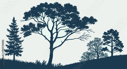 Diverse Tree Silhouettes Against a Gradient Horizon, Illustrating a Natural Landscape