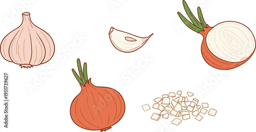 Vector illustration set of onion and garlic featuring whole bulbs, cross-sections, and chopped pieces in a warm minimalist line art style.