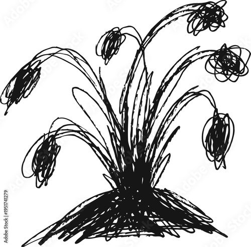 abstract scribble drawing of drooping flowers with long stems and pointed leaves