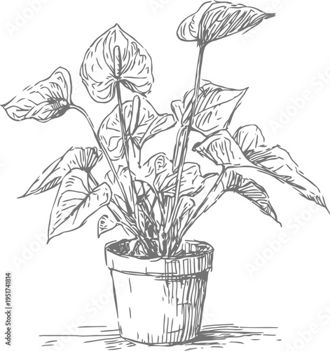 Potted houseplant with large tropical leaves in clay container indoor gardening decor illustration