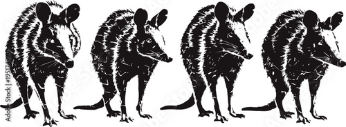 Four black and white armadillos lined up side by side, detailed animal silhouettes