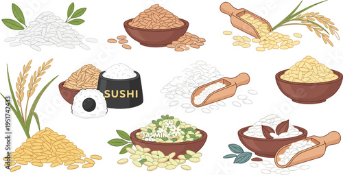 Sushi Rice, White Rice, and Grain Varieties in Bowls with Scoops and Rice Plants Illustration Set