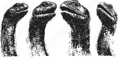 turtle heads close up detailed illustration in black and white with textured skin and neck features