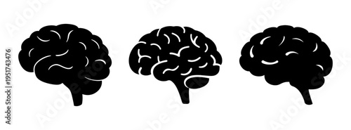 Human brain illustration for medical research and science education black and white anatomy drawing