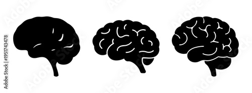 Human brain illustration showing evolution and anatomy for medical and educational use case