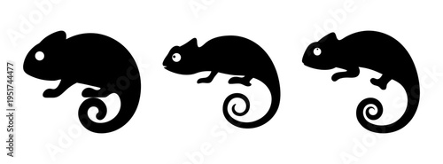 Chameleon vector art graphics illustration reptile silhouette animal design element isolated lizard drawing