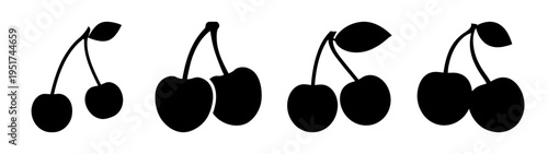 Black cherry fruit vector illustration featuring fresh cherries and sweet cherry design elements for graphics