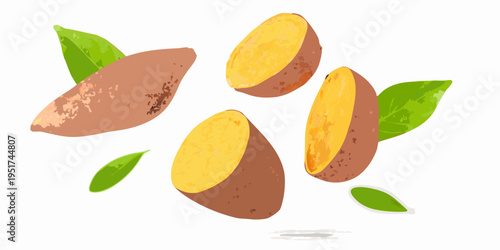 A vibrant illustration showcasing whole and sliced sweet potatoes with foliage