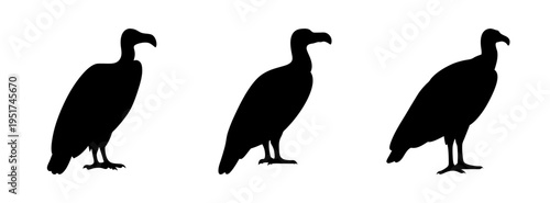 Vulture silhouette vector art: black vultures standing, scavenger birds, carrion eaters, wildlife art