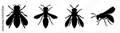 Insect silhouettes vector art featuring wasp ant and fly insect collection for design projects