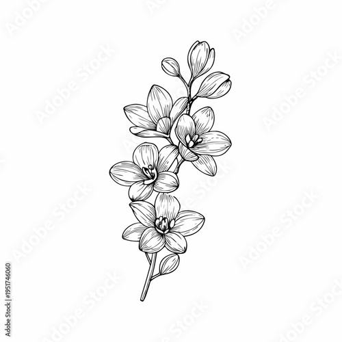 Delicate floral illustration of blossoming branches with detailed botanical features