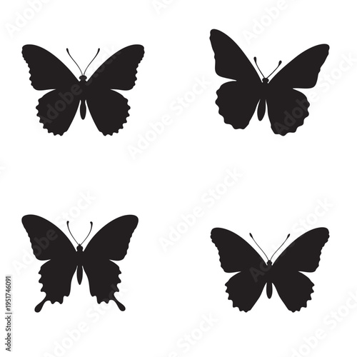 Silhouette of admiral butterfly isolated on white background