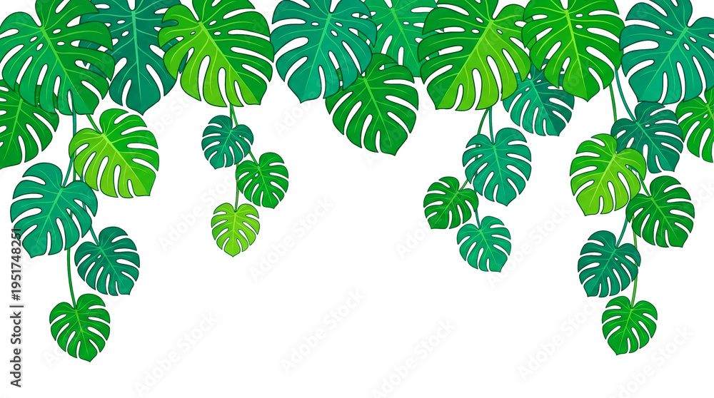 Naklejka premium Hanging tropical monstera leaves border, transparent background