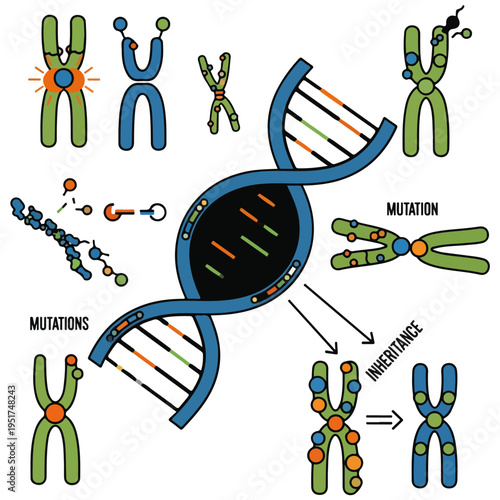 dna chromosome mutation biology flat vector illustration set
