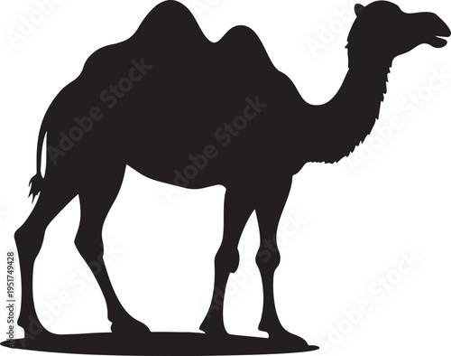 An illustration of a wild dromedary camel with a hump trekking across the sand dunes of an Arabian desert and along a tropical beach
