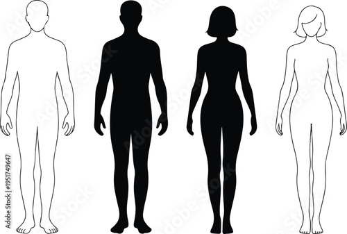 Male and female body silhouette and outline template set for fashion design character reference and medical diagram anatomical illustration.