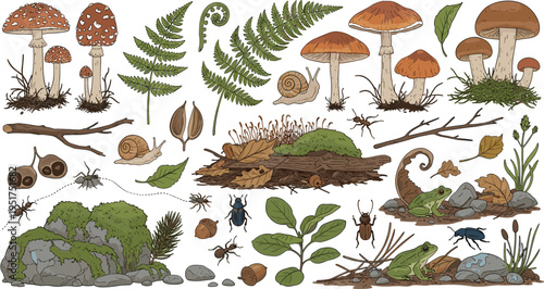 Forest floor ecosystem with mushrooms ferns insects snails moss plants and woodland elements hand drawn vector illustration set