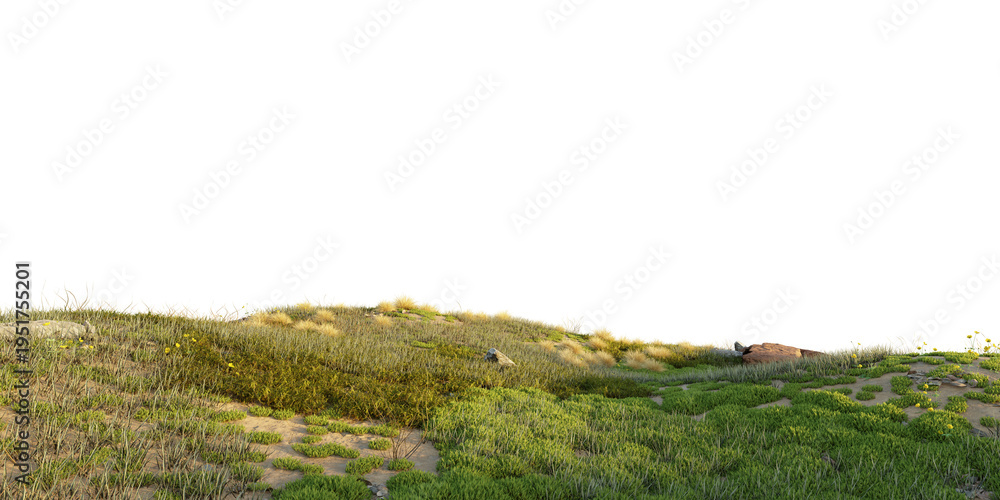 Obraz premium Green meadow hills with wildflowers and fresh grass forming a natural countryside landscape. Open grassy terrain isolated on transparent background, 3d rendering.
