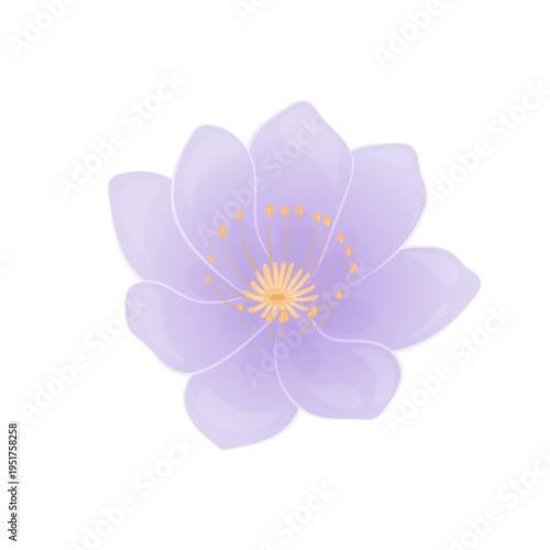 Beautiful light purple flower with yellow center, delicate petals, and soft texture, isolated on white background, symbolizing serenity and elegance in nature