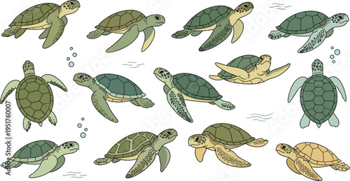 Detailed hand drawn vector illustration set of sea turtles and tortoises in various swimming poses with bubbles for marine wildlife and underwater nature designs.