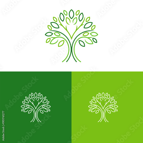 Symmetrical Tree Line Art Logo Design