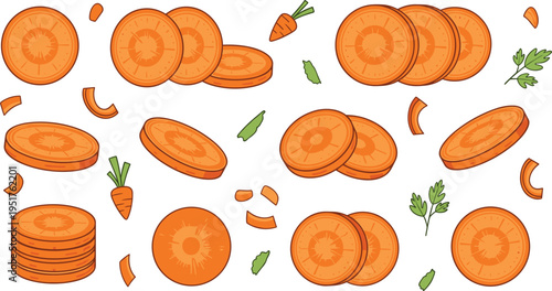 Hand drawn vector illustration set of fresh orange carrot slices and pieces with parsley leaves for healthy food cooking and vegetable nature designs.