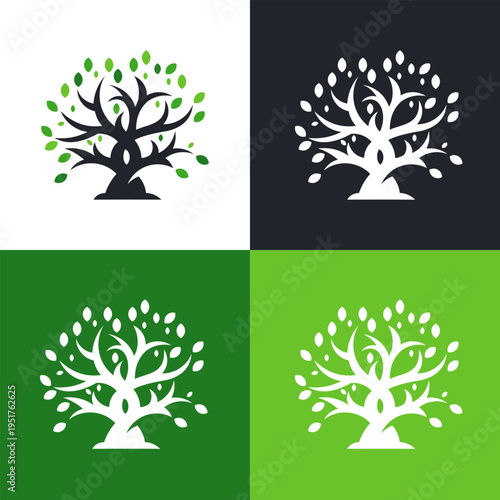 Strong Oak Tree Logo with Interlocking Branches Vector