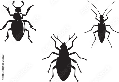 Insect Black silhouette vector isolated on white background