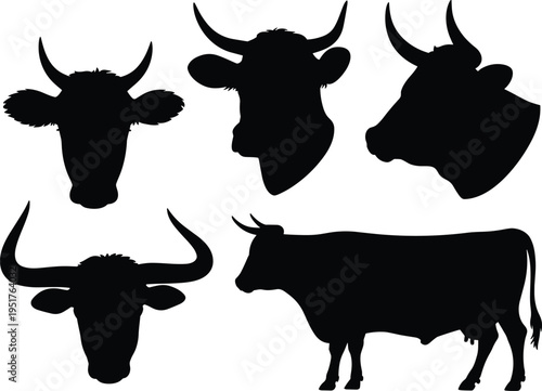 Cow and bull head silhouettes collection, cattle livestock animal icons set, farm animal vector illustration isolated on white background for agriculture design