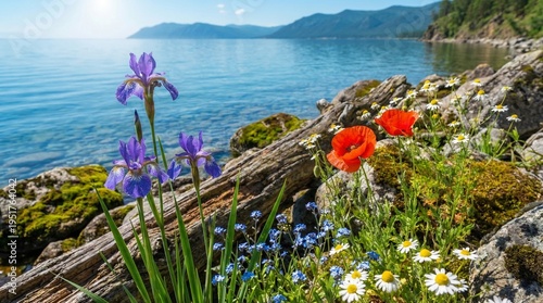 Outstanding nature view with close up of beautiful flowers at the big lake and mountains in Siberia, landscape background
