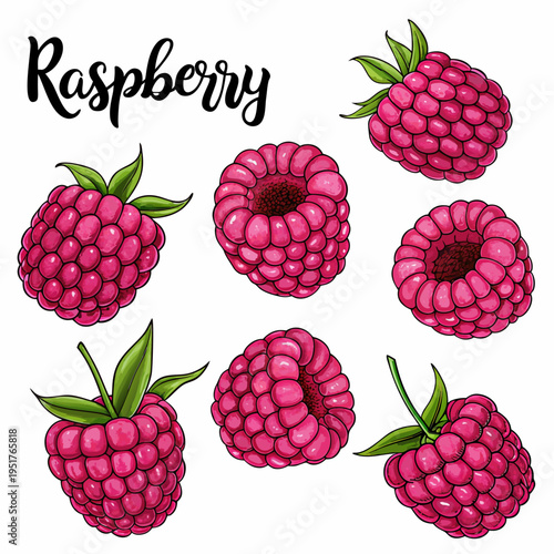 A colorful illustration depicting several ripe raspberries with green leaves