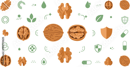 Walnut Nutrition Illustration Set with Whole and Cracked Nuts, Health Icons, Organic Food Elements for Brain Health, Wellness and Diet Design Collection