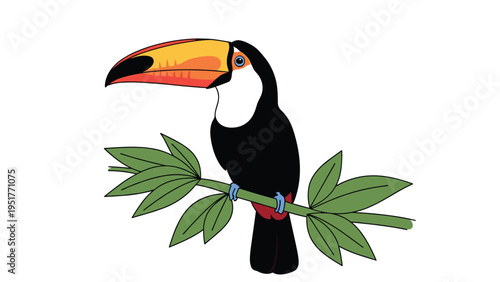 Colorful cartoon toucan with a large orange and yellow beak is perched on a green branch with leaves against a white background.