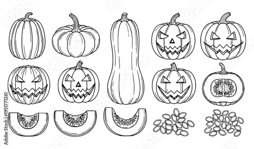 Pumpkin Halloween Illustration Set Featuring Whole Pumpkins, Carved Jack O Lantern Faces, Slices and Seeds in Detailed Hand Drawn Outline Vector Style