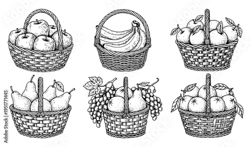Fruit Basket Engraving Style Illustration Set Featuring Apples, Bananas, Grapes and Pears in Detailed Vintage Hand Drawn Vector Design