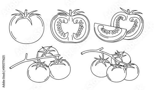 Tomato Outline Illustration Set Featuring Whole Tomato, Cross Section, Slices and Vine Cluster in Clean Hand Drawn Minimal Vector Style