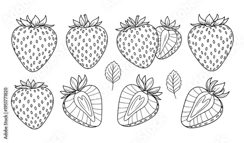 Strawberry Outline Illustration Set Featuring Whole and Sliced Berries with Leaves and Seeds in Detailed Hand Drawn Minimal Vector Style