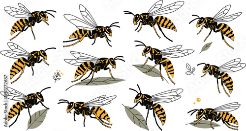 Yellow jacket wasp character set with various poses including flying and crawling on leaves for insect wildlife nature garden and pest control design projects